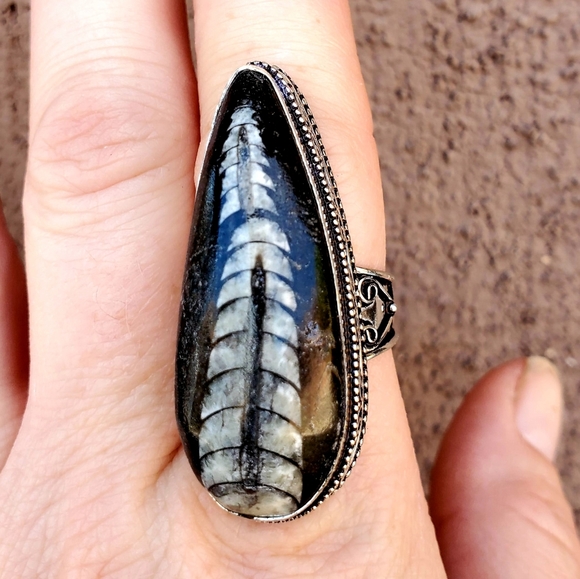 New Huge Orthoceras Fossil 925 Silver Ring. - Picture 9 of 16